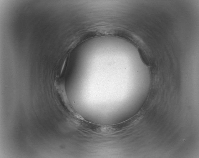 X0000064730121200603031651