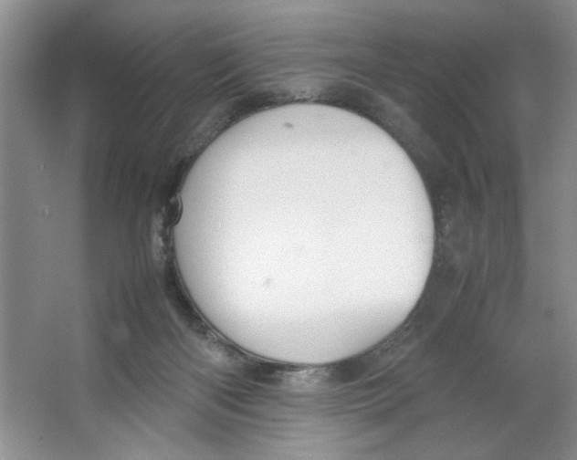 X0000064730122200603031651