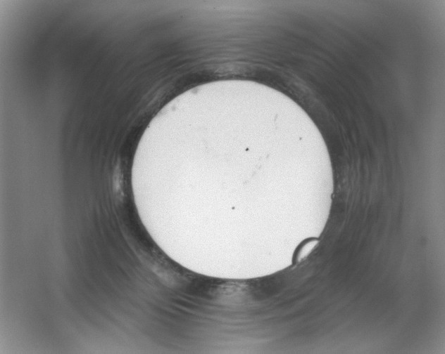 X0000064730124200603031651