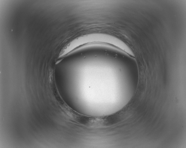 X0000064730125200603031651