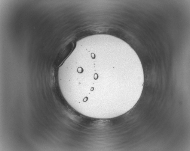 X0000064730128200603031651