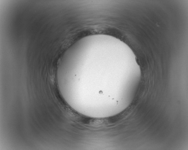 X0000064730129200603031651