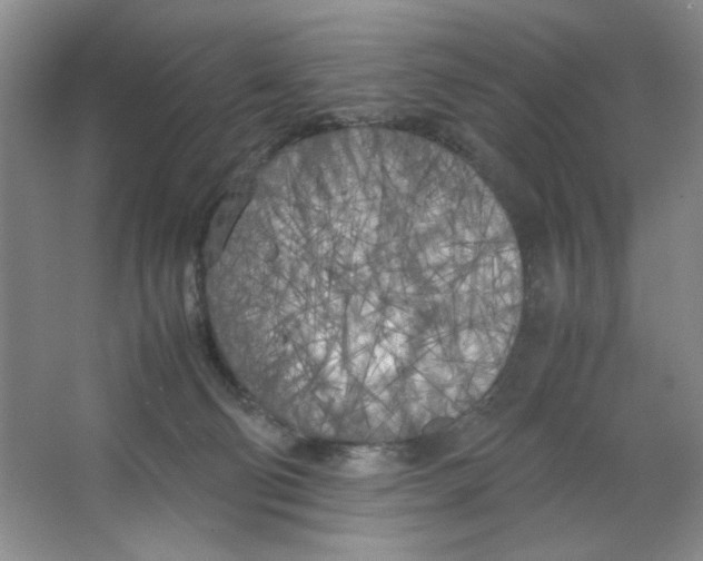 X0000064730130200603031651