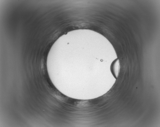 X0000064730132200603031651