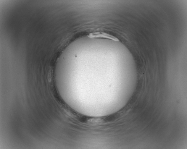 X0000064730133200603031651