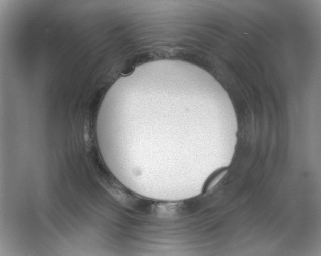 X0000064730134200603031651