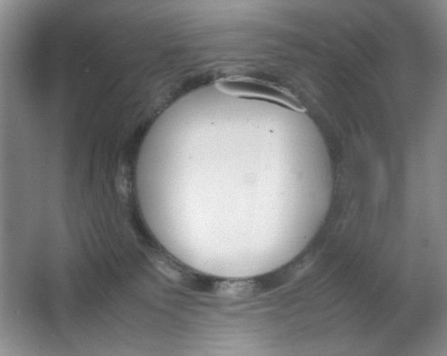 X0000064730135200603031651