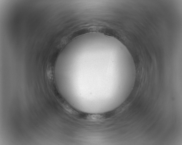 X0000064730137200603031651