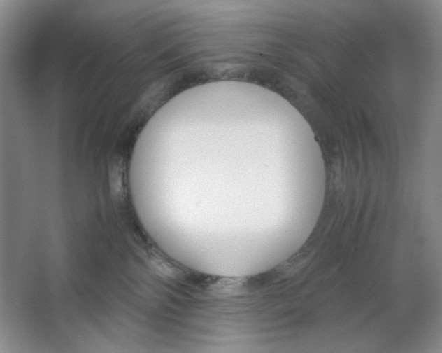 X0000064730138200603031651