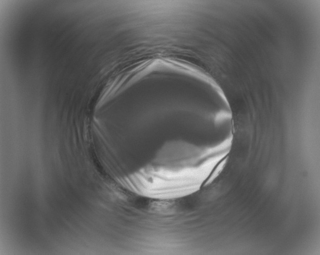 X0000064730139200603031651