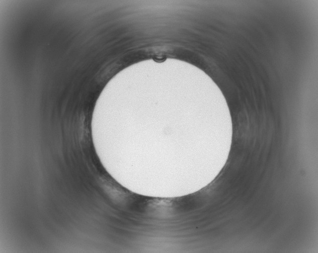 X0000064730140200603031651