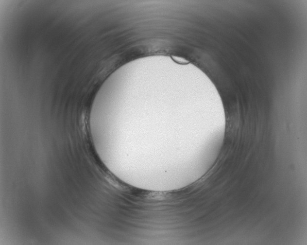 X0000064730142200603031651