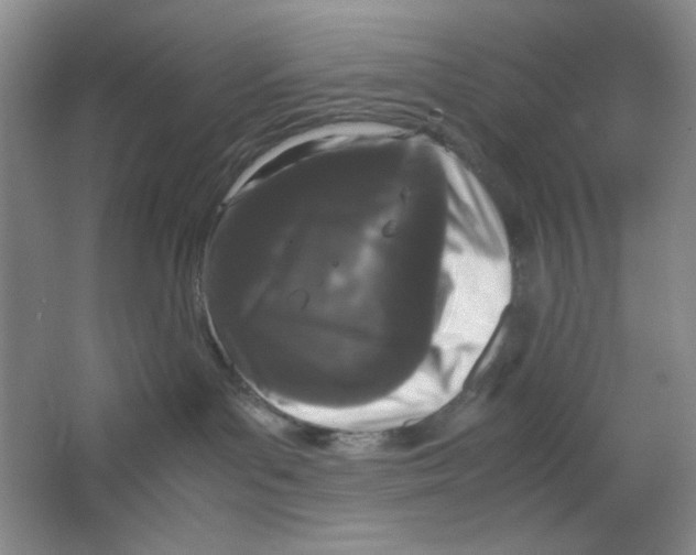 X0000064730143200603031651