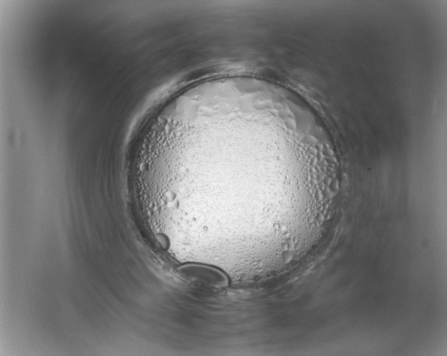 X0000064730149200603031650