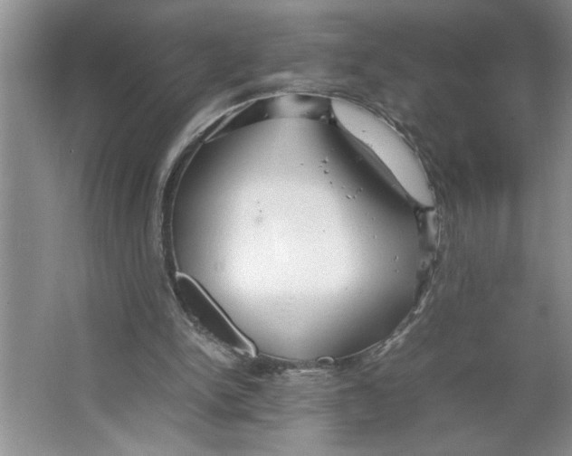 X0000064730150200603031650