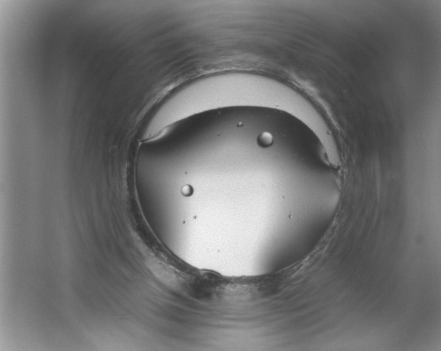 X0000064730154200603031650