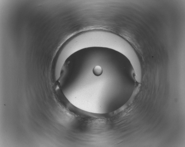 X0000064730156200603031650