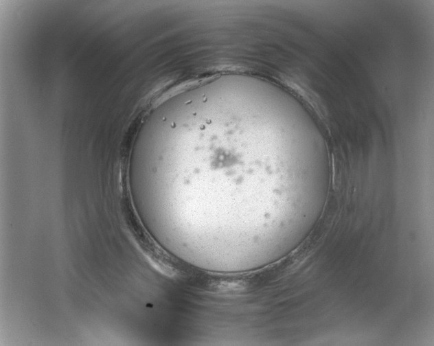 X0000064730157200603031650