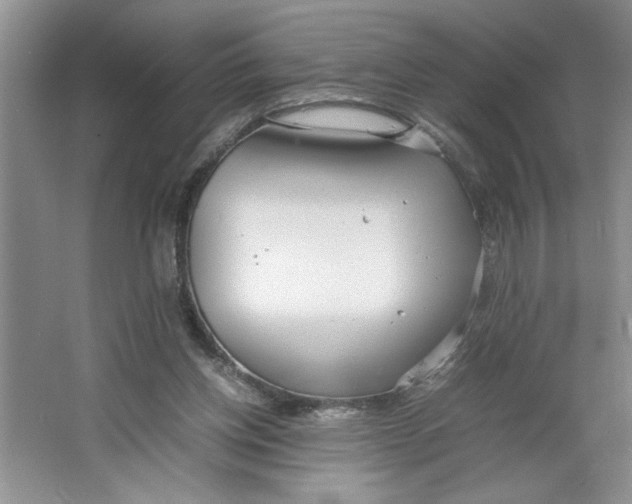 X0000064730158200603031650