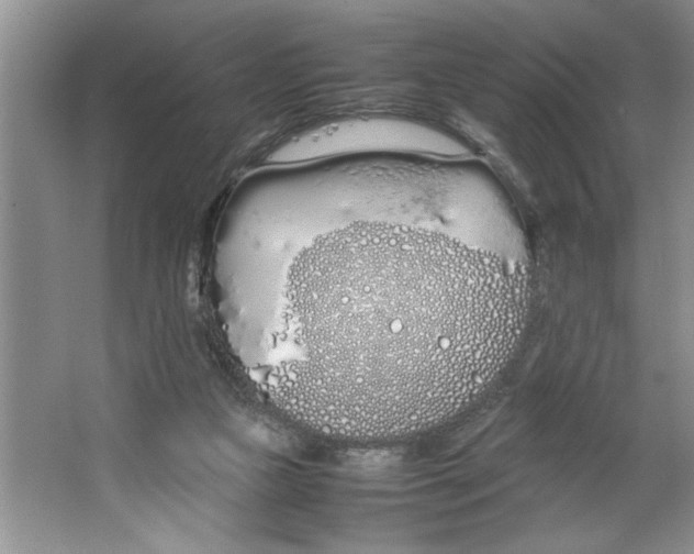 X0000064730161200603031651