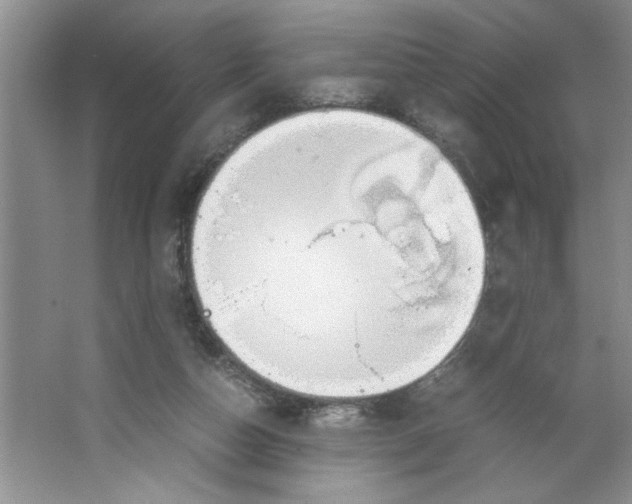 X0000064730162200603031651