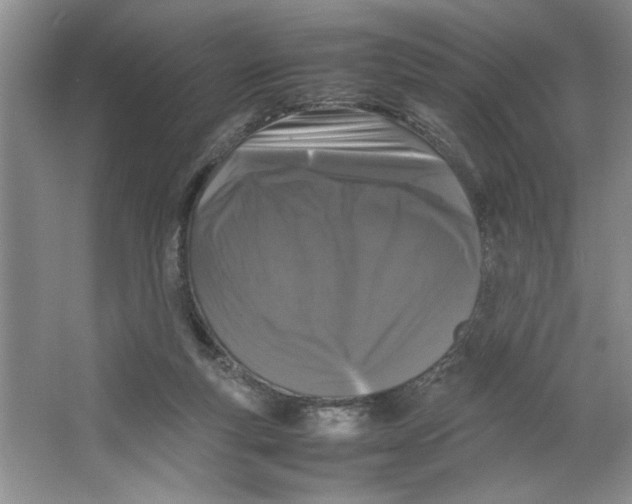 X0000064730163200603031651