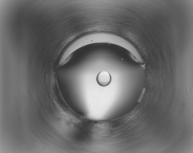 X0000064730164200603031651