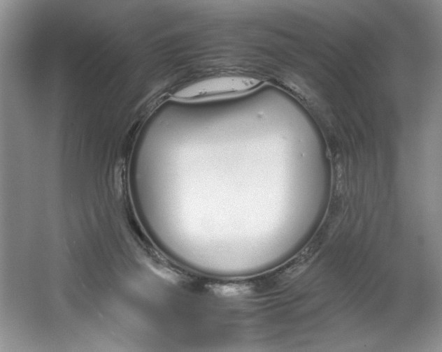 X0000064730165200603031651