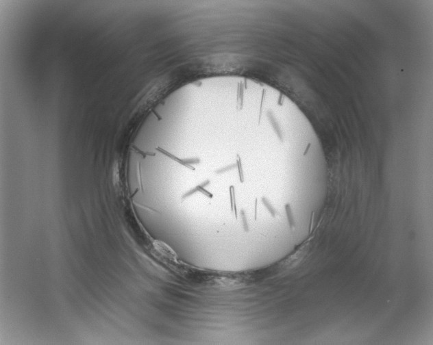 X0000064730166200603031651