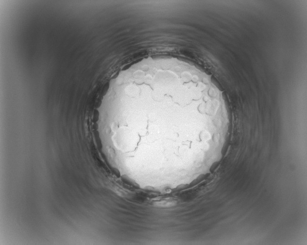 X0000064730169200603031651