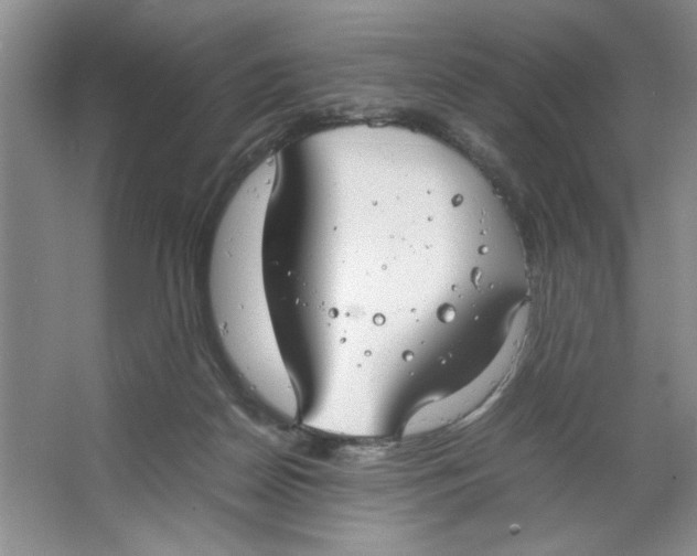 X0000064730170200603031651