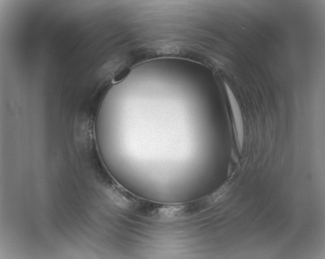 X0000064730172200603031651