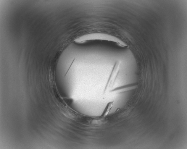 X0000064730173200603031651