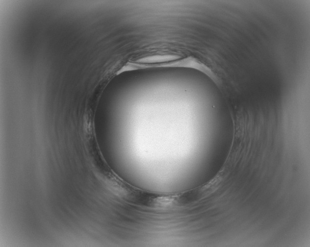 X0000064730176200603031651