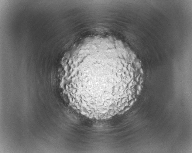 X0000064730177200603031651