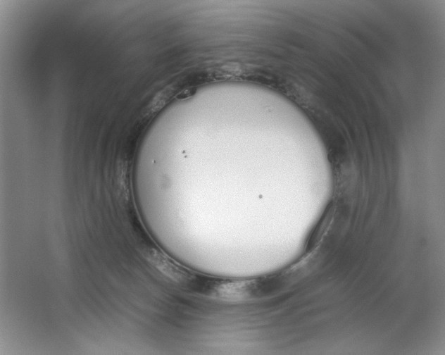 X0000064730178200603031651