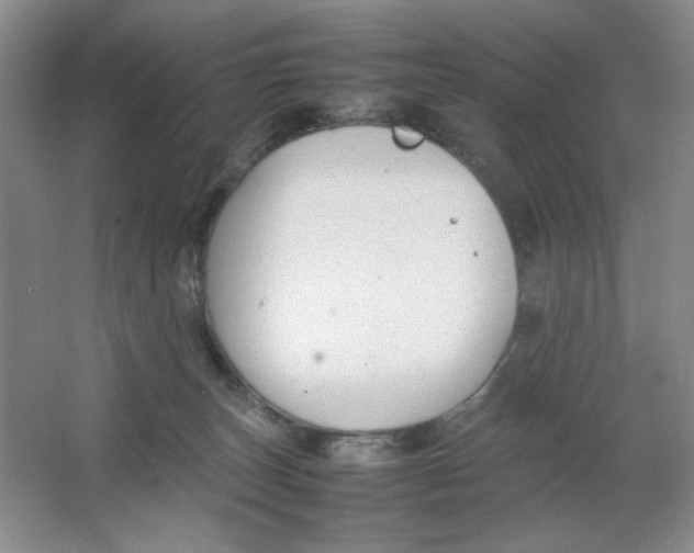 X0000064730179200603031651