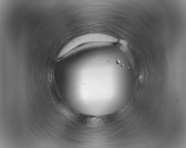 X0000064730180200603031651