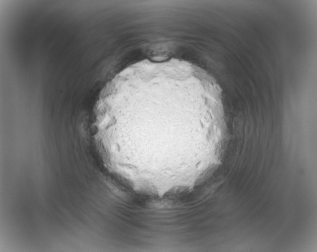 X0000064730181200603031651