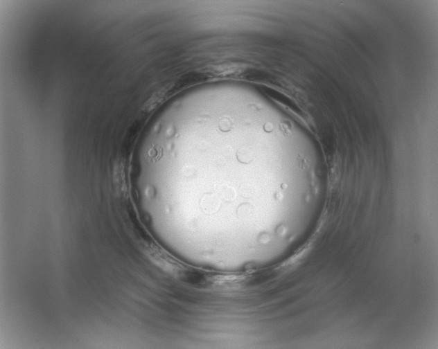 X0000064730182200603031651