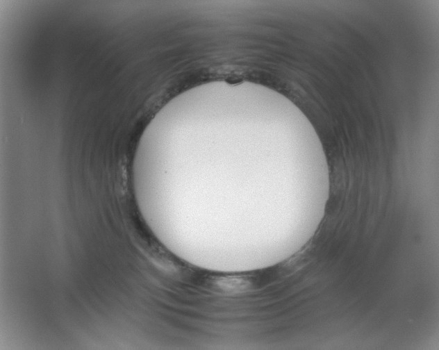 X0000064730183200603031651