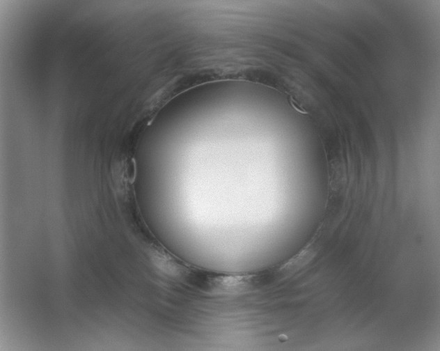 X0000064730184200603031651