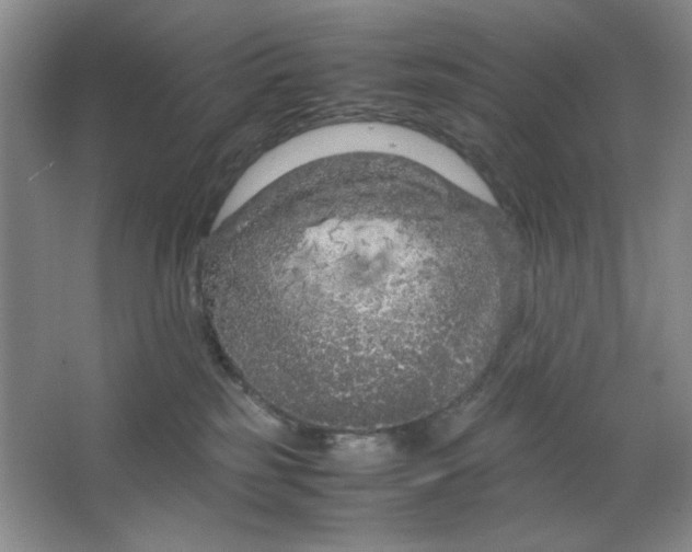 X0000064730185200603031651