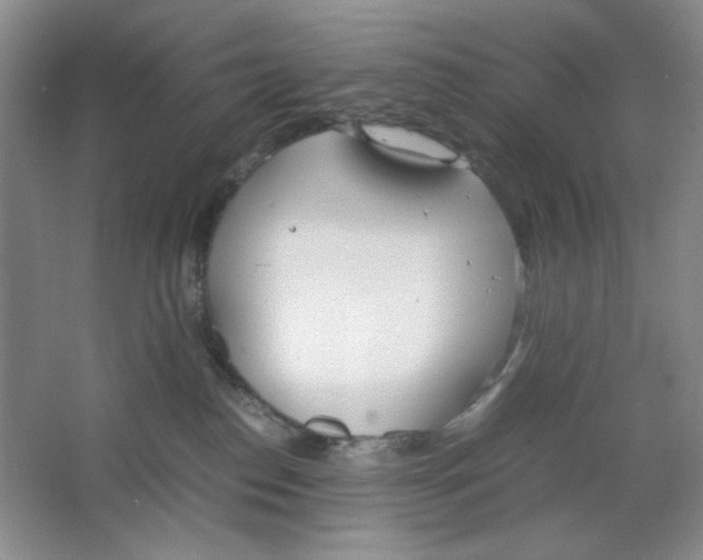 X0000064730186200603031651