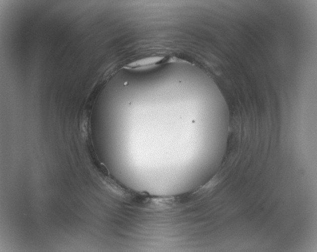 X0000064730188200603031651