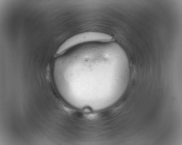 X0000064730189200603031651