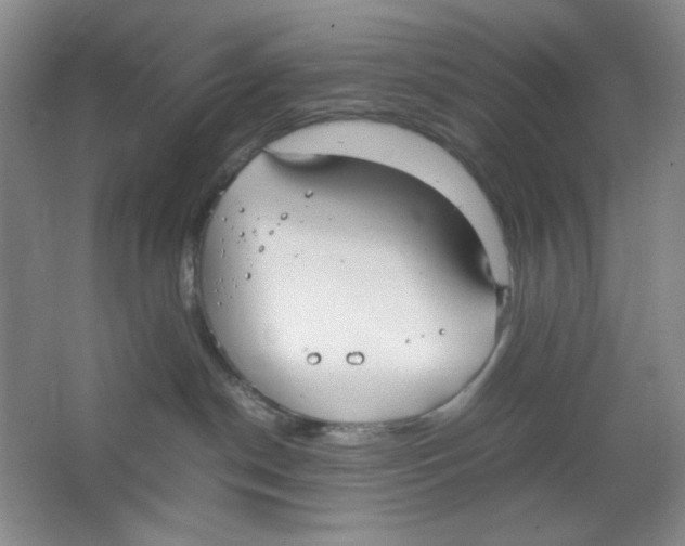 X0000064730190200603031651