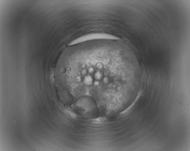 X0000064730191200603031651