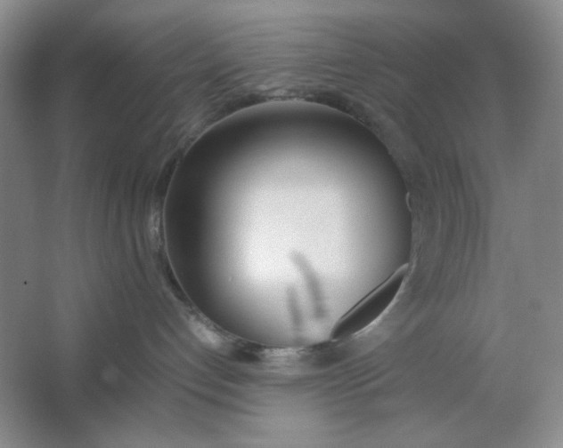 X0000064730192200603031651