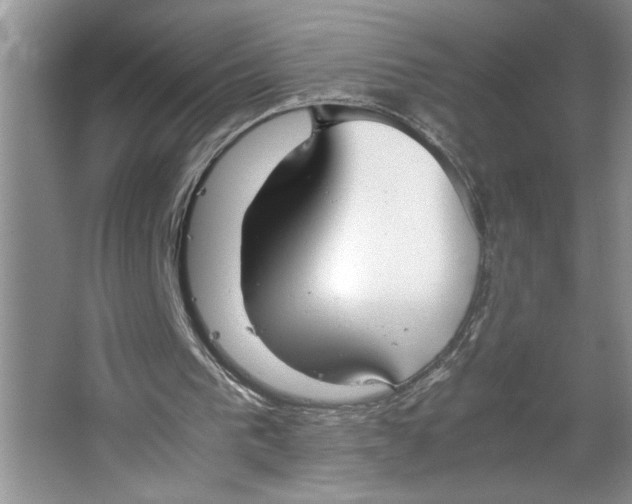 X0000064730193200603031650